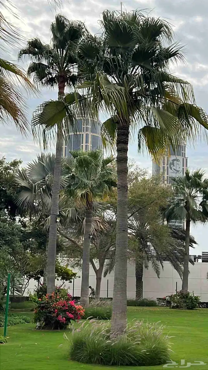 تصميم حدائق 3