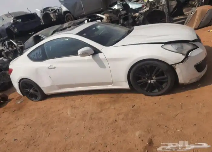 جينسيس كوبي 2014 3