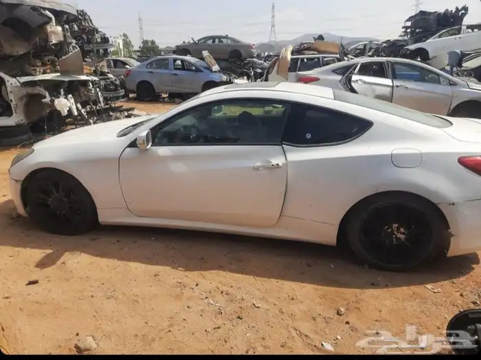 جينسيس كوبي 2014 2