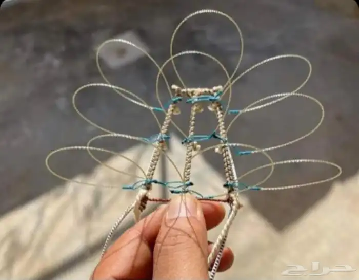 قرشعات شبك طرح الصقور السعر موجد بالإعلان 19