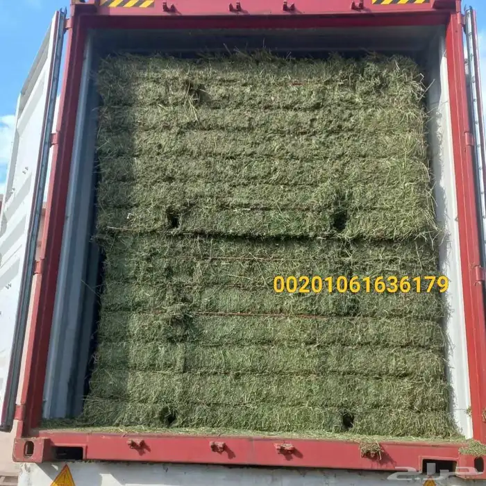 دريس حجازى درجة ممتازة للتصدير 0