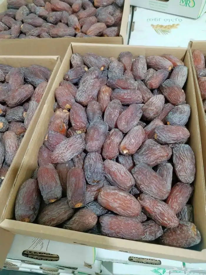 يتوفر لدينا رشوديه وصقعي ومجدول وخلاص 5