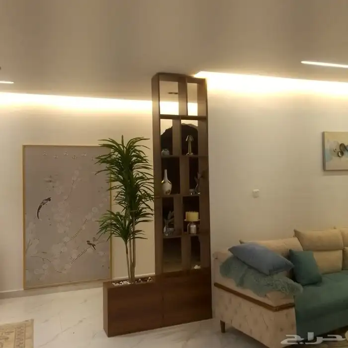 تصميم ديكورات داخليه فخامة خلفيات شاشه بلازما ومداخل مرايا 6