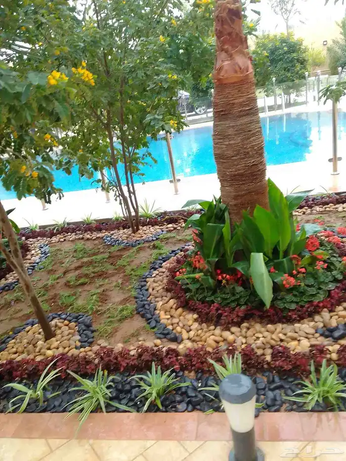 تنسيق حدائق وزراعه التيل وتركيب شبكة الري 0