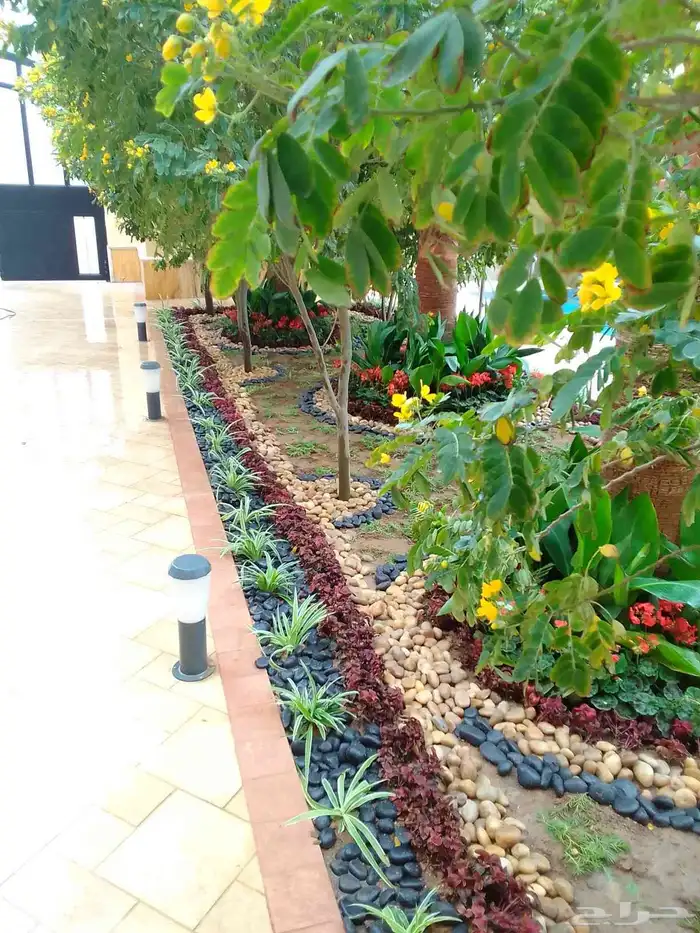 تنسيق حدائق وزراعه التيل وتركيب شبكة الري 2