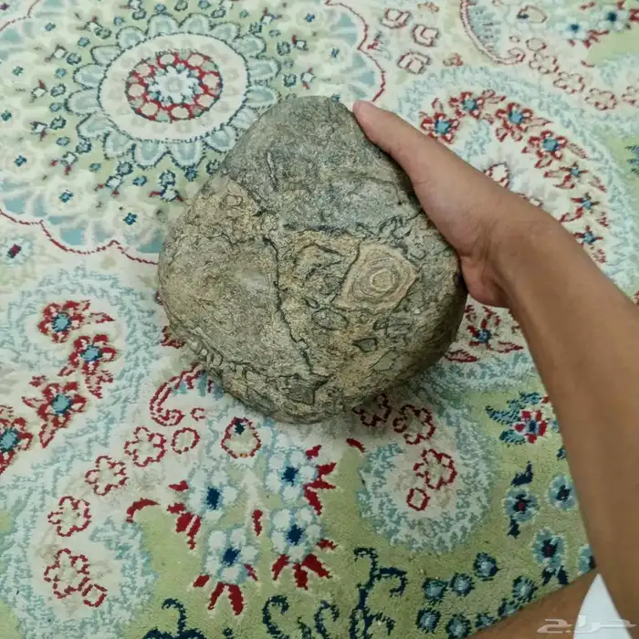 الجحر خريطه في اسم الله 0