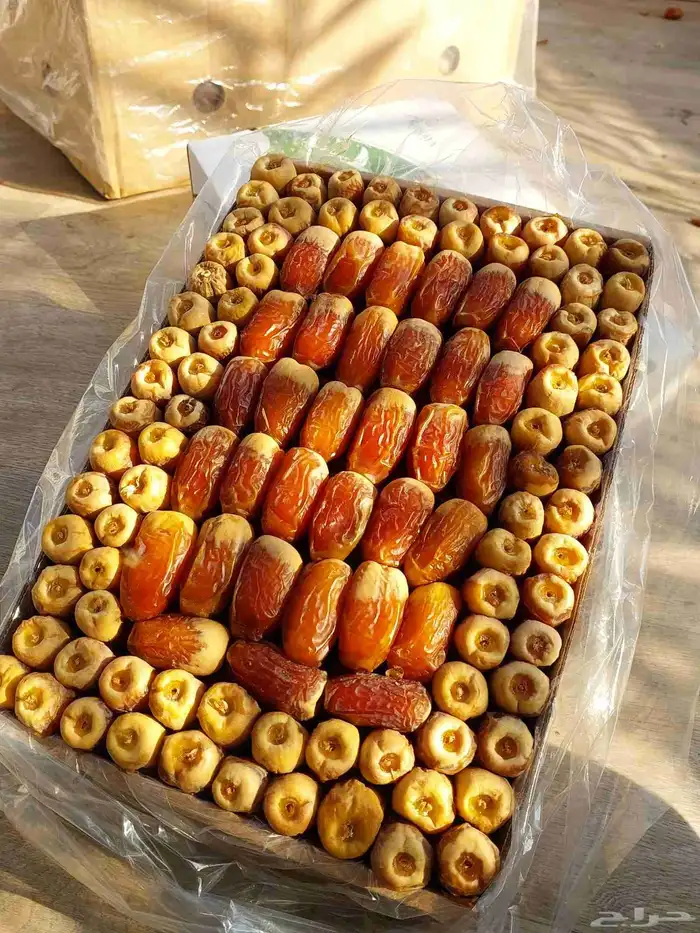 يتوفر لدينا رشوديه وصقعي ومجدول وخلاص 4