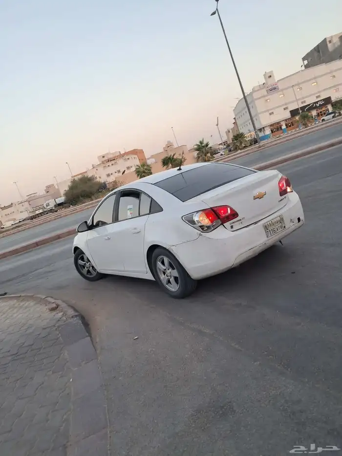 كروز 2017 1