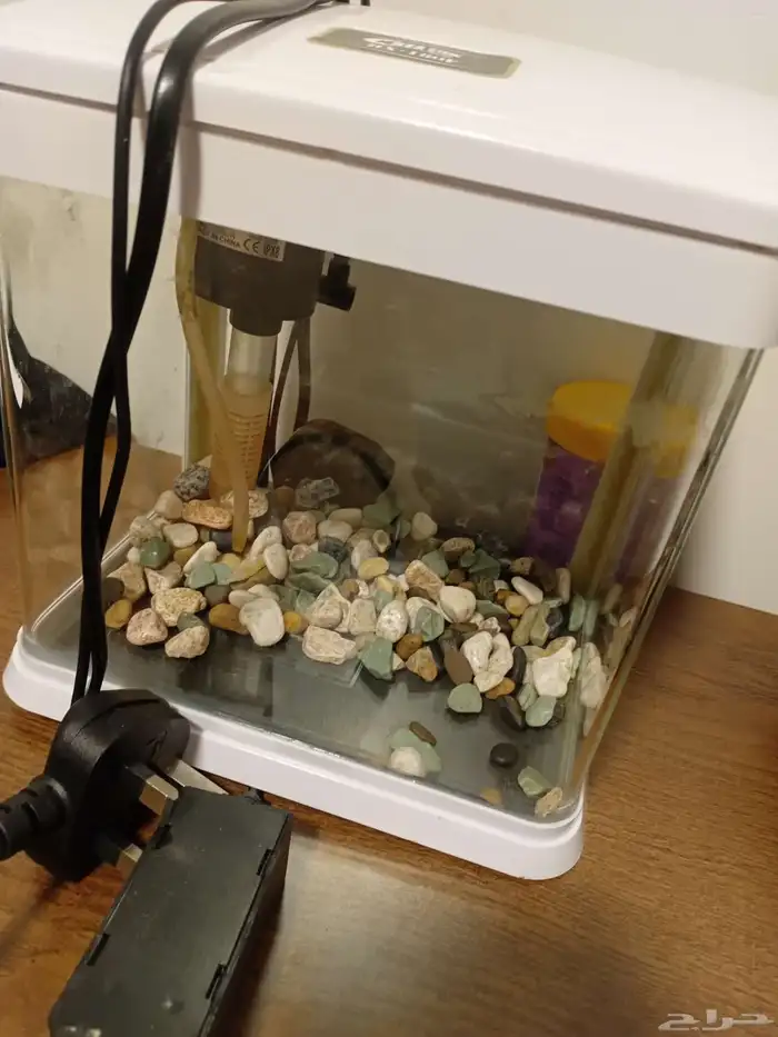 طاوله خشبية دائرية بحاله جيد8. حوض سمك مع الفلتر مرتبه 2