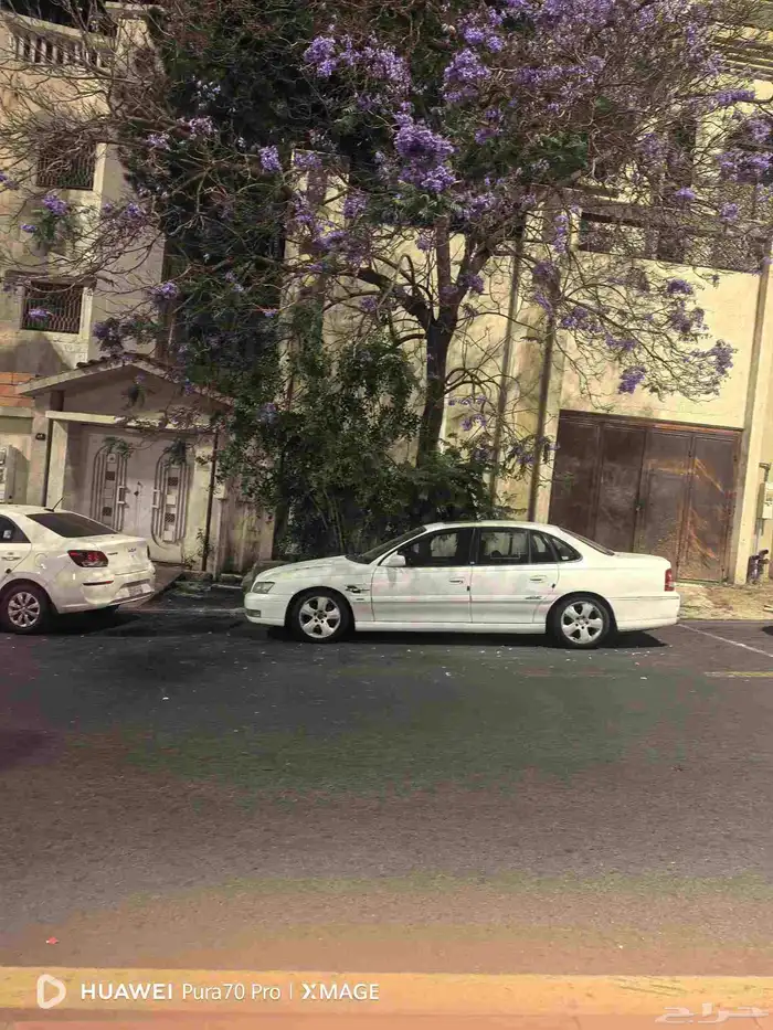 كابرس اس اس 2006 ابيض 4