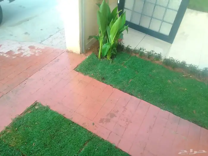 تنسيق حدائق وزراعه التيل وتركيب شبكة الري 3