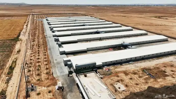 حضائر دواجن 5