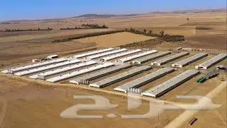 حضائر دواجن 0