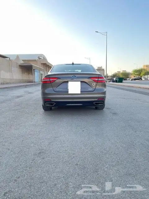 فرد تورس 2021 7