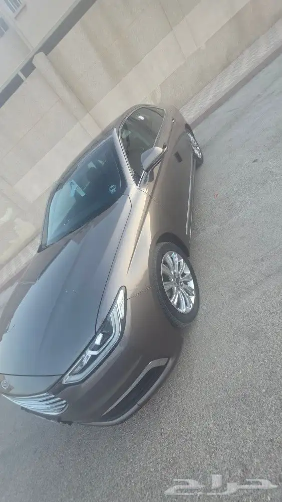فرد تورس 2021 1