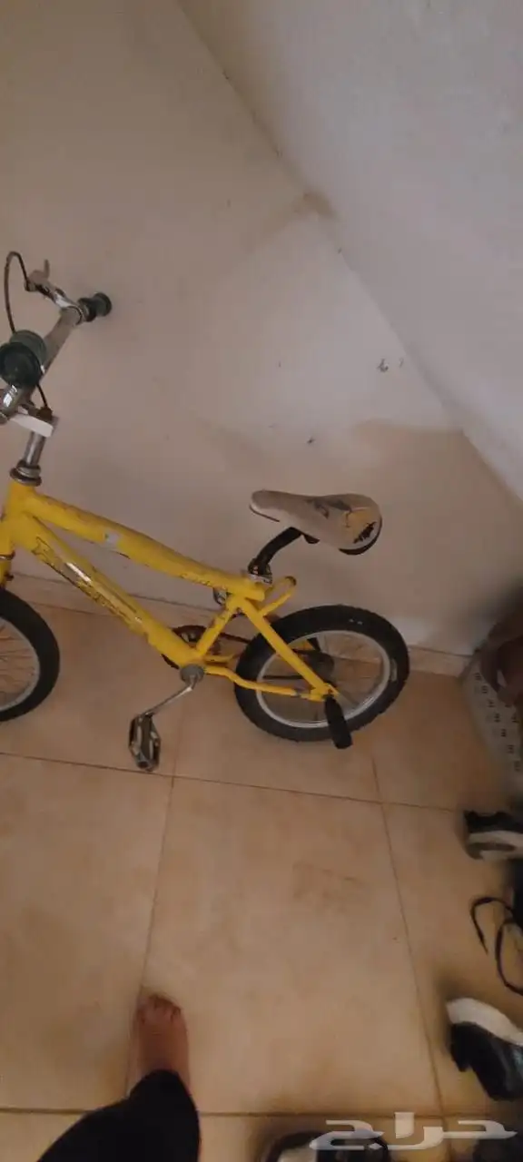 سيكل كوبرا مقاس 16 6