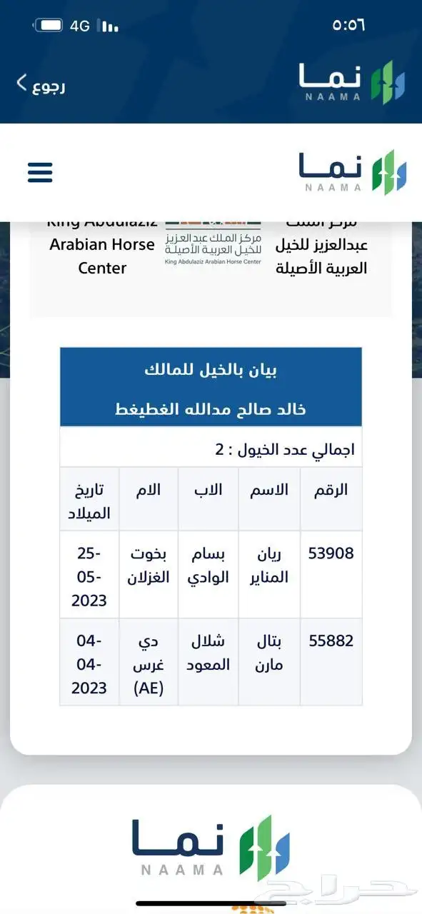 حصانين عربي واهو للبيع وفرس شعبيه متواجد فديوهات للخيل 0