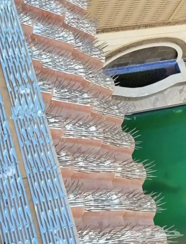 شركه تركيب أشواك الحمام بجدة 1