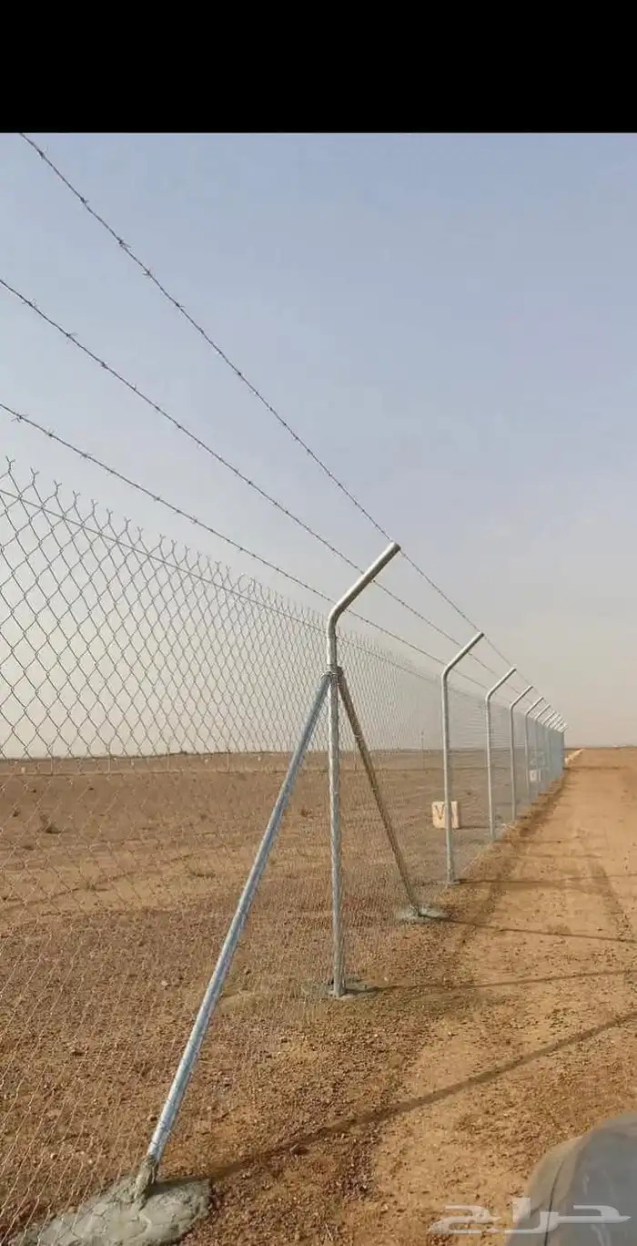 نقوم بتوريد وتركيب جمع انواع الشبوك والنخيل والاشجار 6