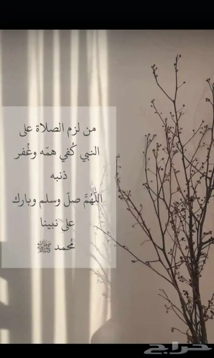 مشتل زراعي 1