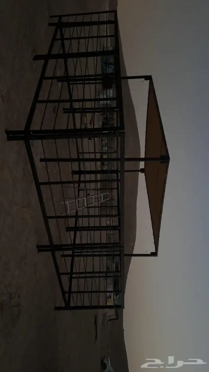 مضلات ابل وحلال وشبوك 8