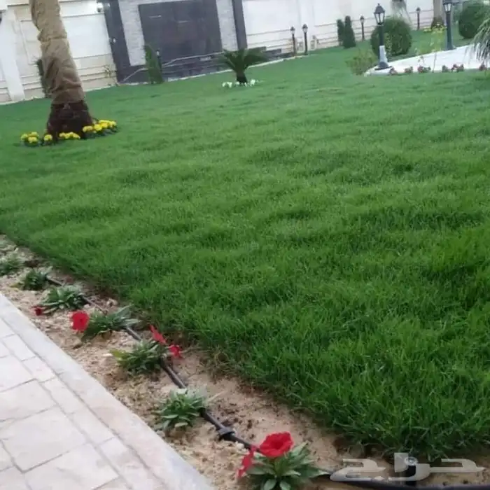 تنسيق حدائق الاحساء 4