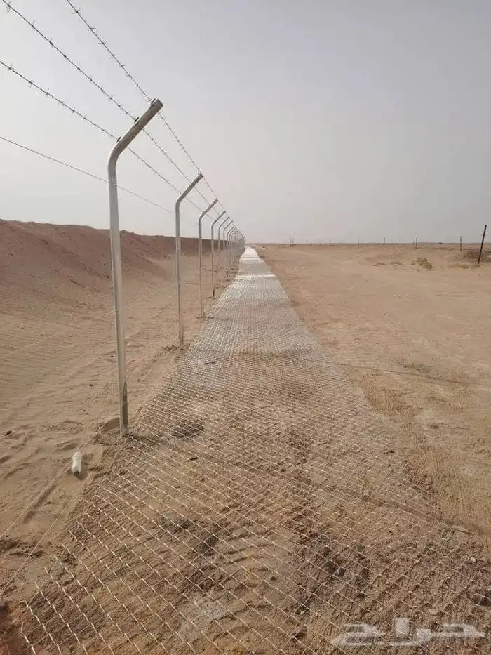 الرياض 5
