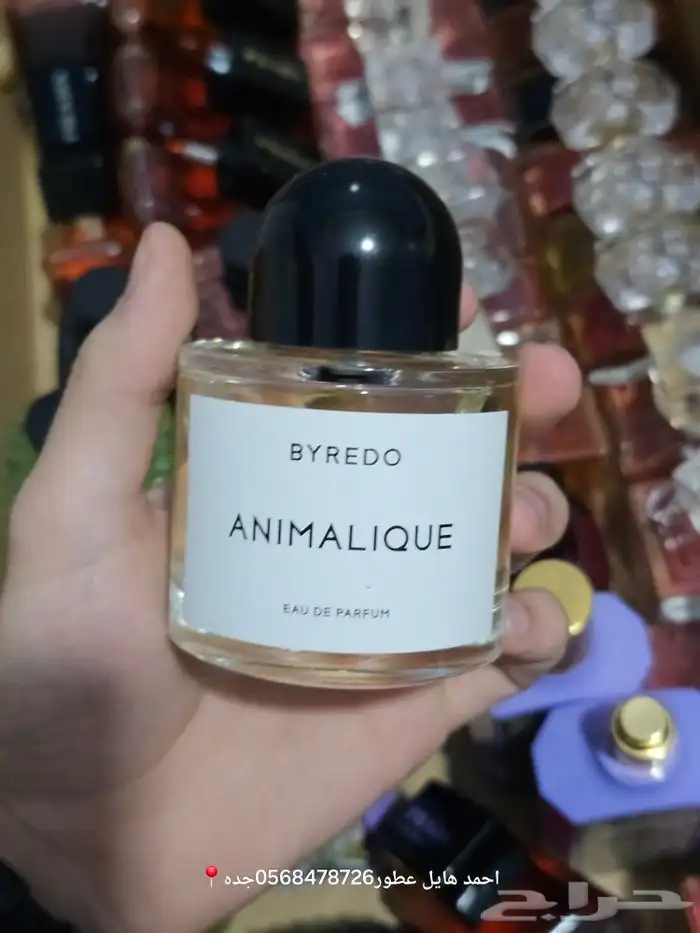 عطور تستر مطار 19