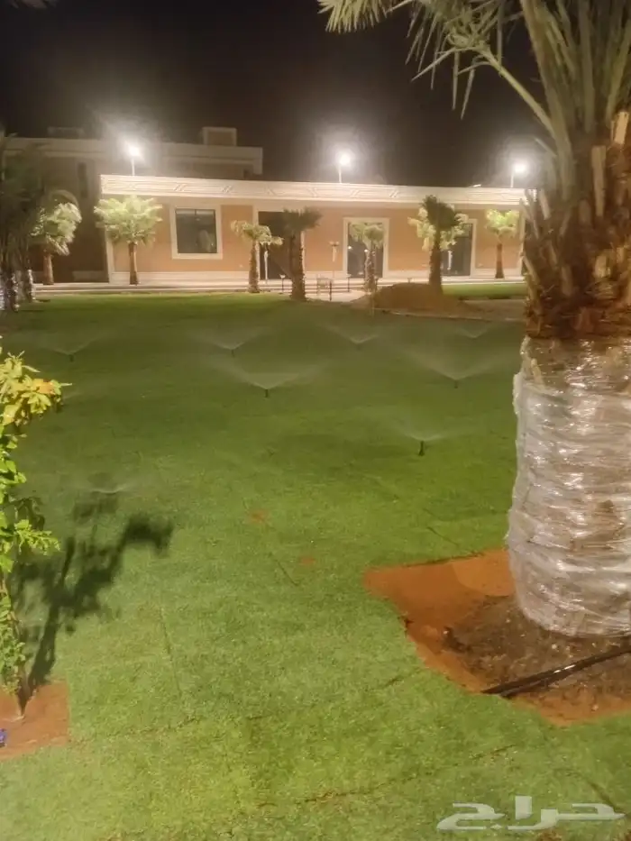 ثيل طبيعي سي الفين (C2000) صافي ونقي على الشرط شكل جمالي وخض 0