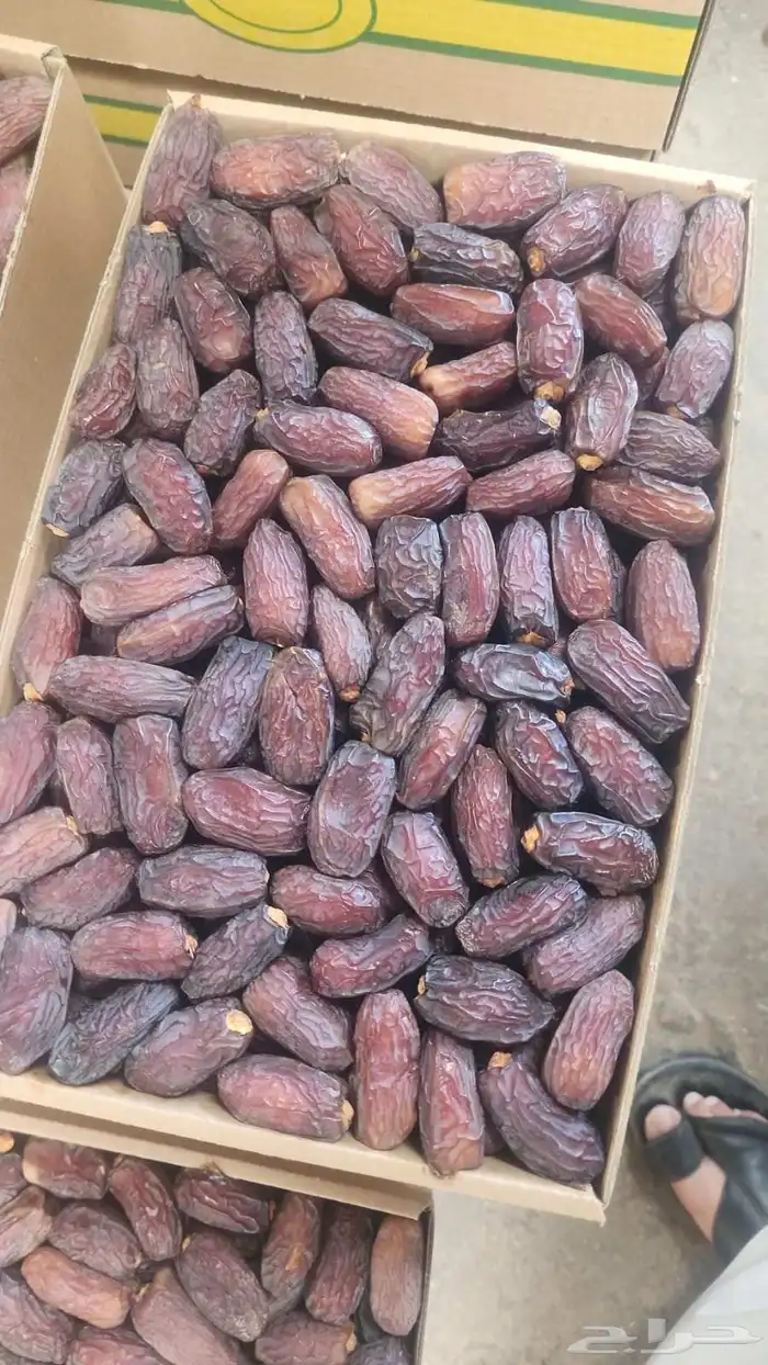 يتوفر لدينا رشوديه وصقعي ومجدول وخلاص 3