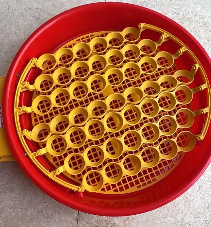 فقاسة أوربية 51 بيضة 0