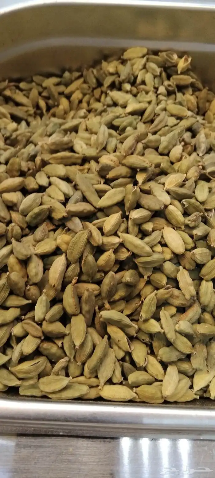 هيل كارتكس امريكي رقم واحد. جامبو. تاريخ جديد ابو دله 0