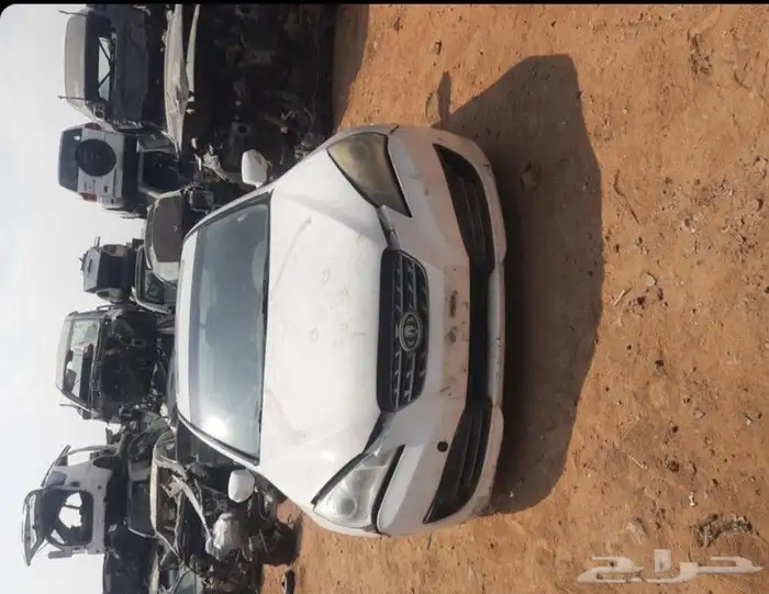 جينسيس كوبي 2014 4