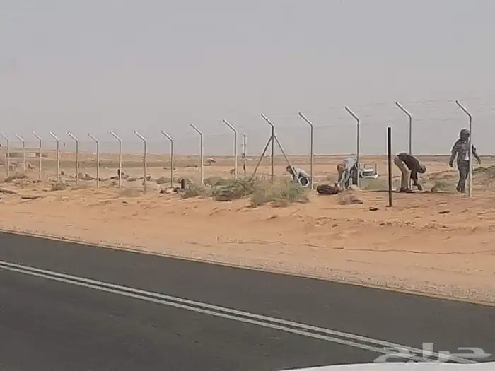 مقاول جميع انواع الشبوك وأعمال النخيل والبيوت التراثيه من ا 4