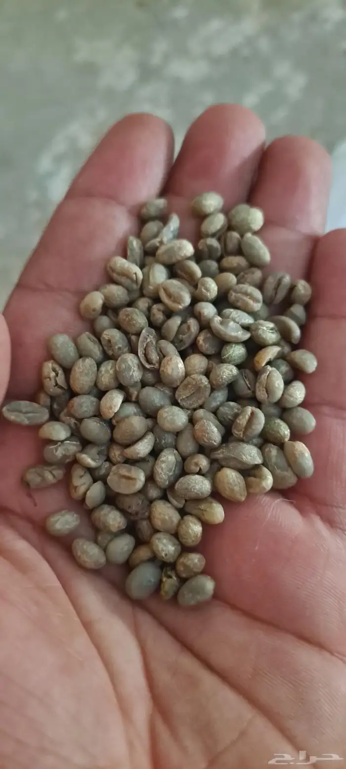 قهوه صيني رقم 1 0