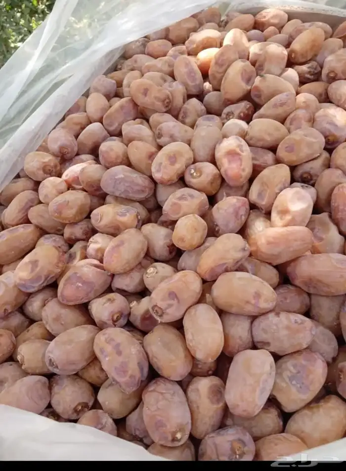 يتوفر لدين تمر اخلاص اللبيع توصيل صوالل 3