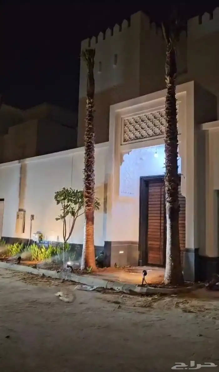 نخل واشنطن للبيع 7