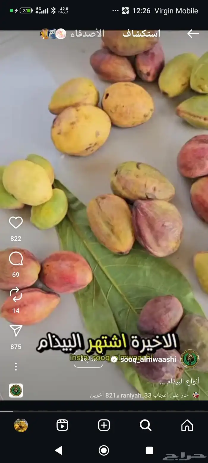 لوز قطيفي الاصلي 12