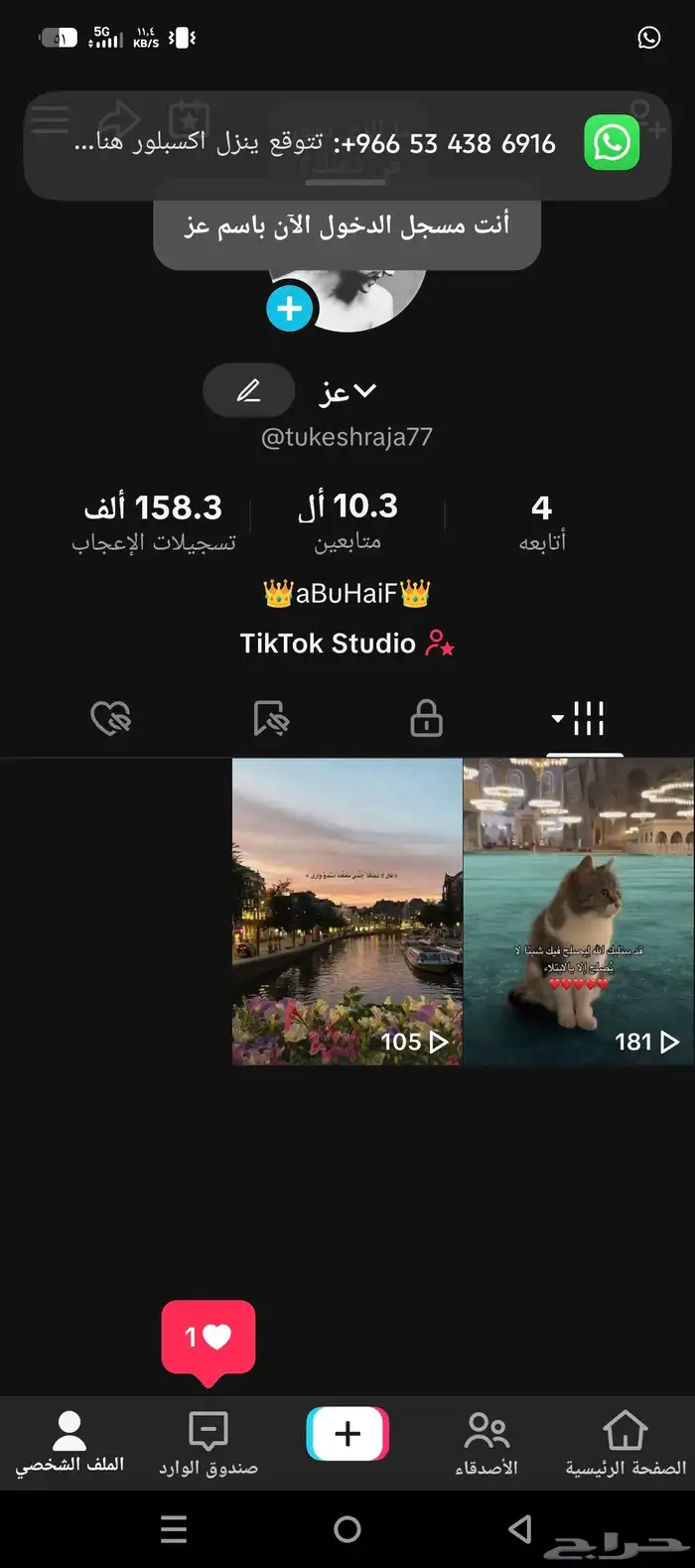 حسابين تيك توك للبيع سعر الوحد الموقع تبوك 1