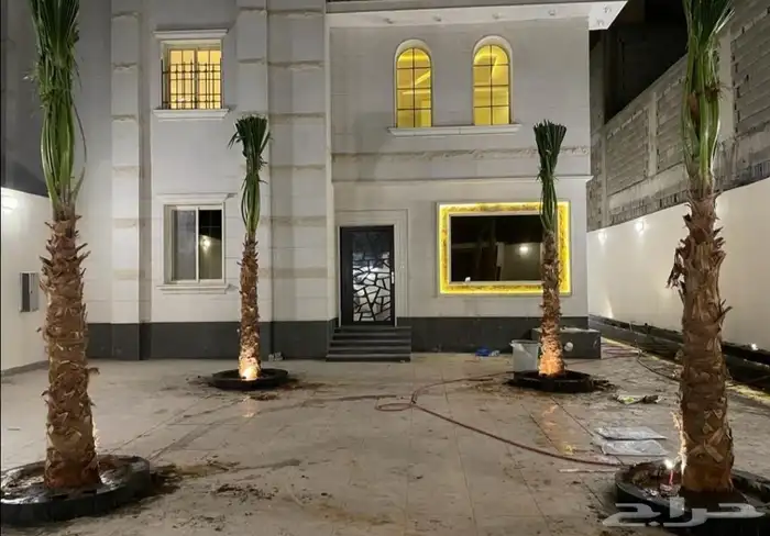 نخل واشنطن للبيع 6