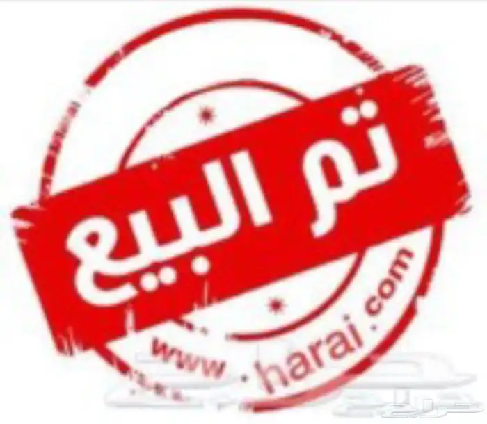 دجاج لوهمان تم البيع 0