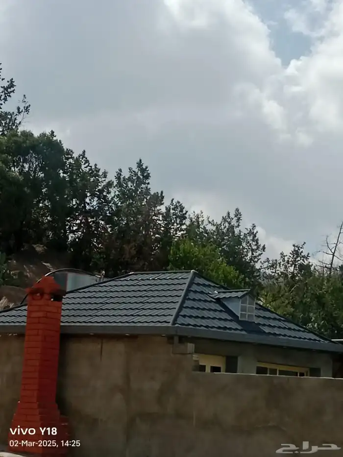 فيصل حداد فيصل باكستاني الطيف سنيه كر كر سوا سوا 8