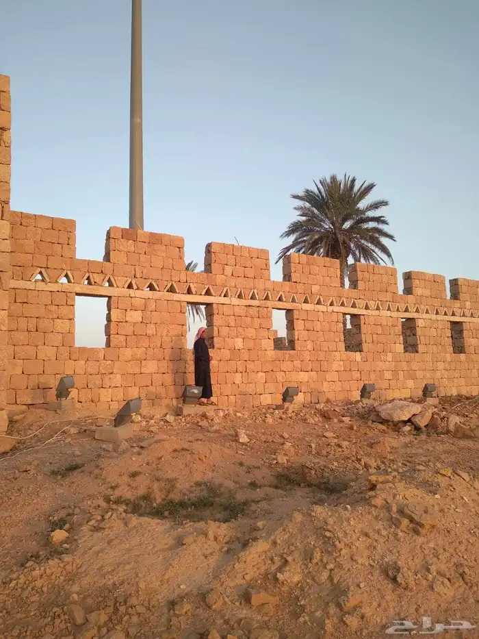 نخل مثمر شغل الترات حجر مباني شبوك 2