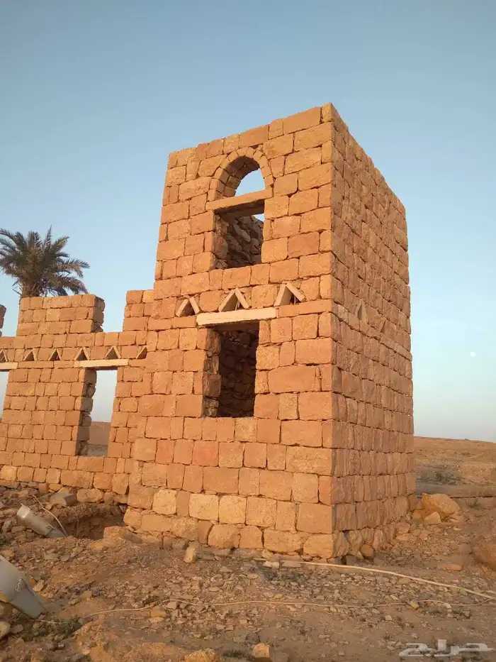 نخل مثمر شغل الترات حجر مباني شبوك 1