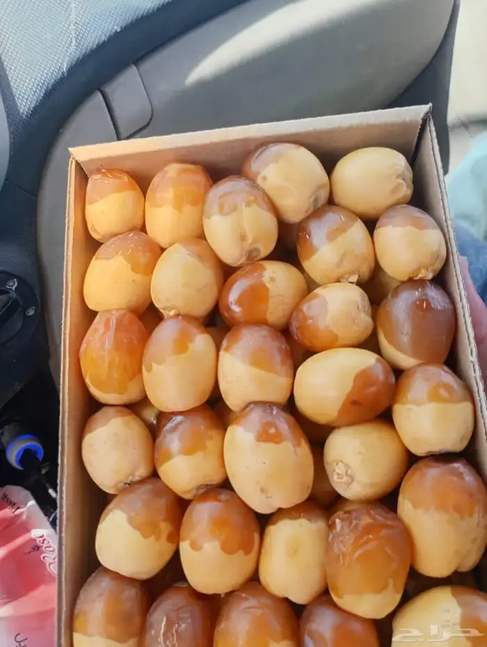 رطب هلالي للبيع 0
