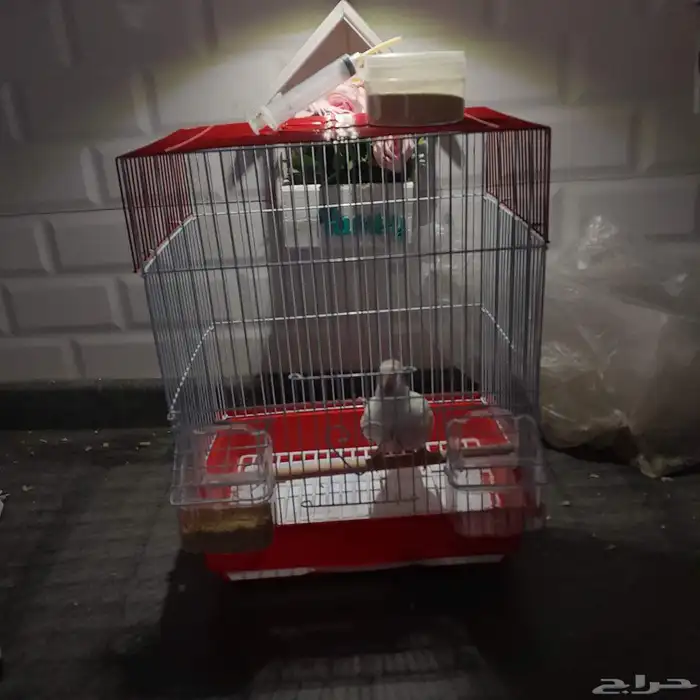 فرخ كروان تم البيع 3