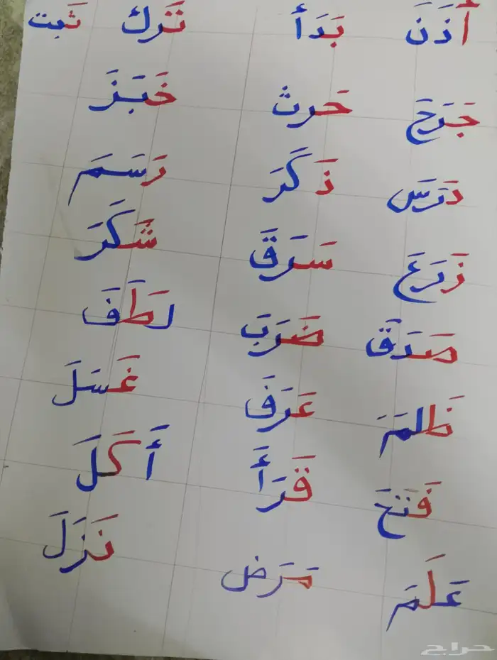 تاسيس مصري ابتدائي ومتوسط قراءة وكتابة وانجليزي ورياضيات 0