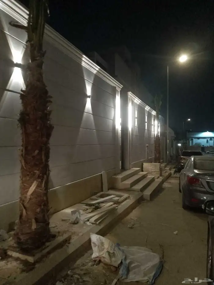 نخل واشنطن زينه 3