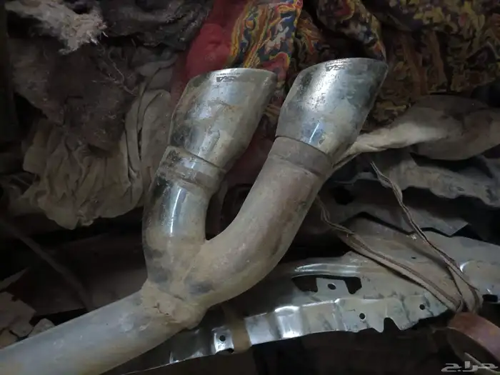 قزوز بورلا 0