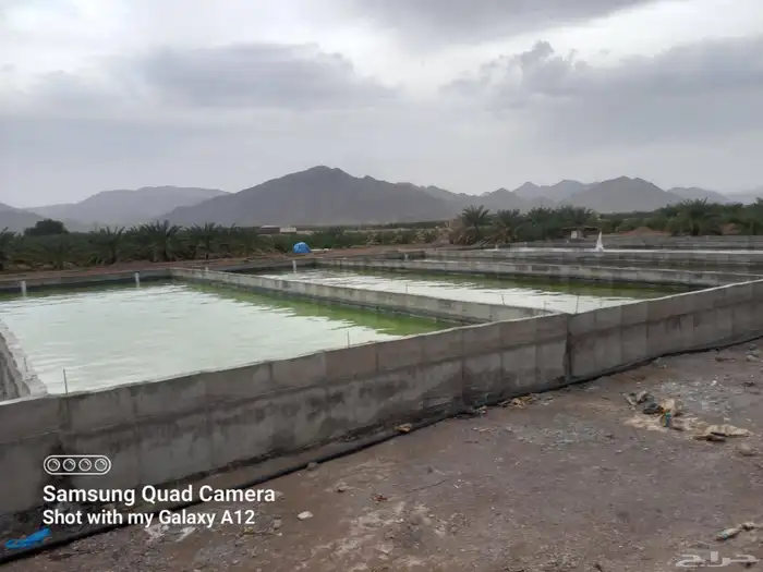 خزانات مبروم مزره خزانان سم  خزانات مسبخ خزانان اردي 2